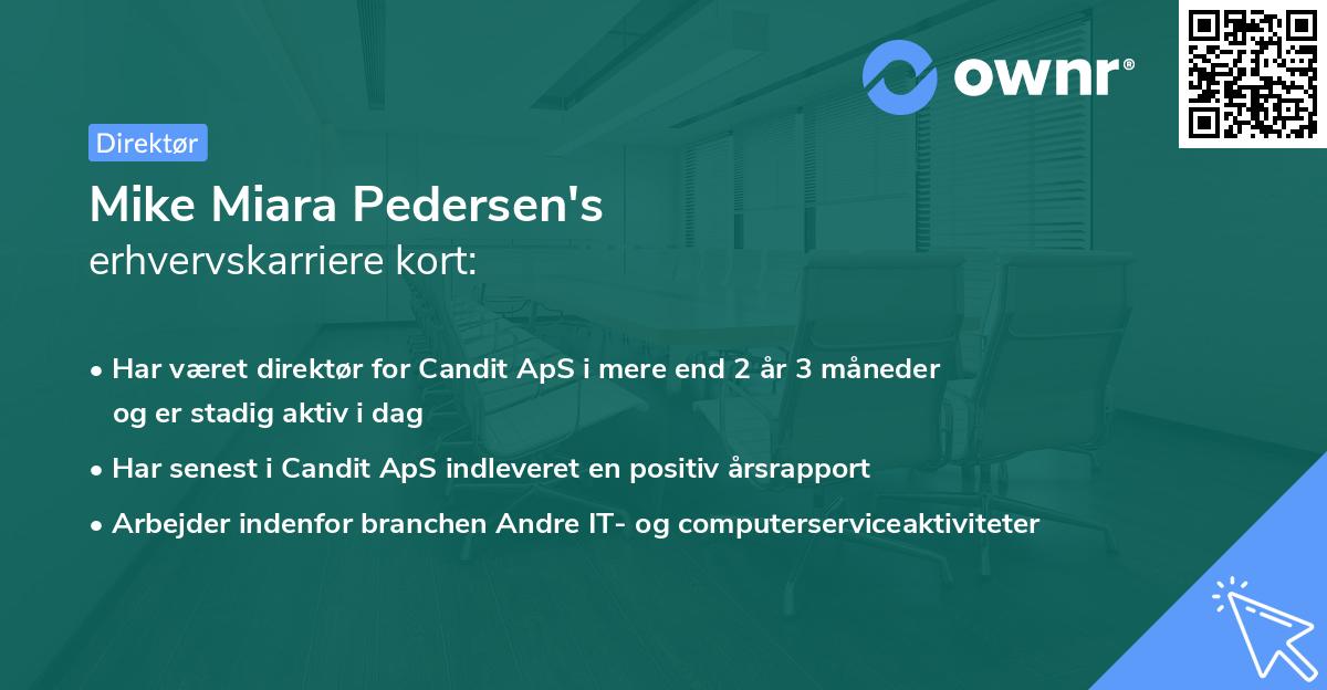 Mike Miara Pedersen's erhvervskarriere kort