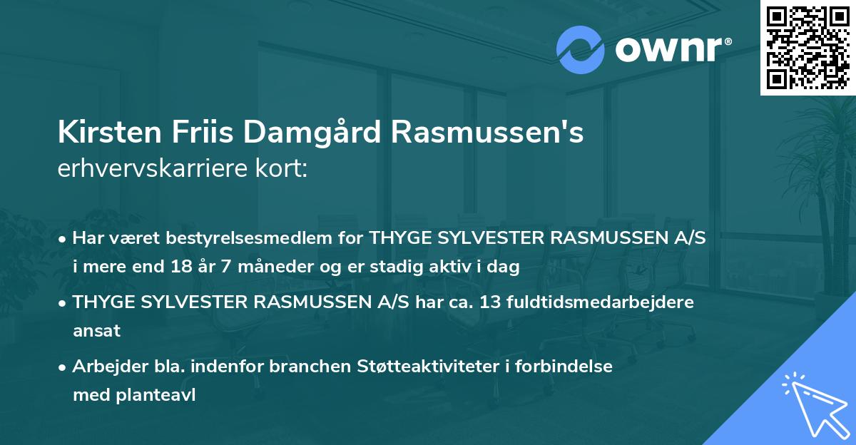 Kirsten Friis Damgård Rasmussen's erhvervskarriere kort