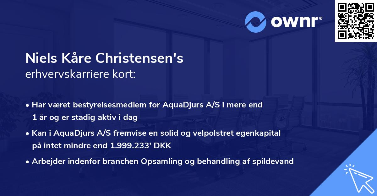 Niels Kåre Christensen's erhvervskarriere kort