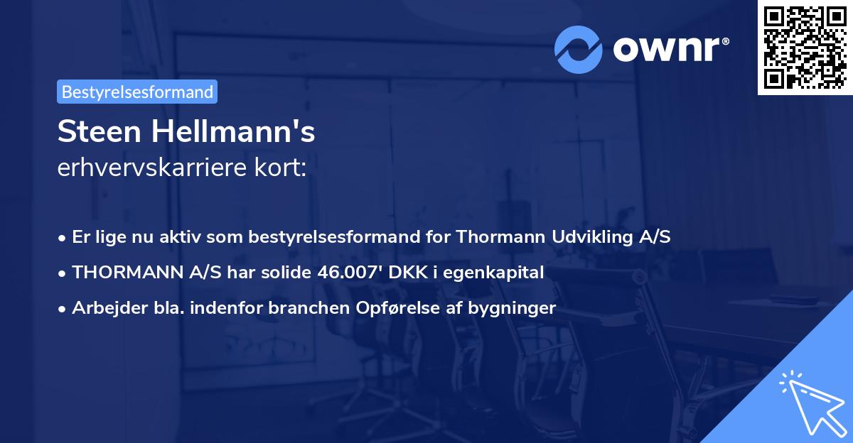 Steen Hellmann's erhvervskarriere kort