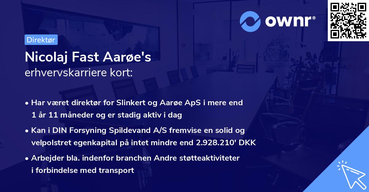 Nicolaj Fast Aarøe's erhvervskarriere kort