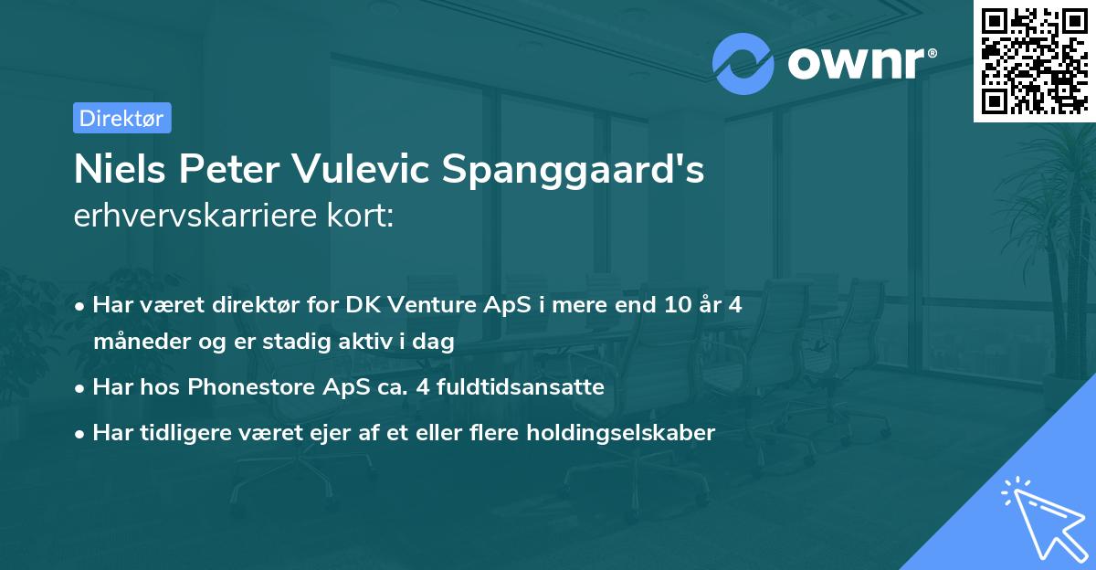 Niels Peter Vulevic Spanggaard's erhvervskarriere kort