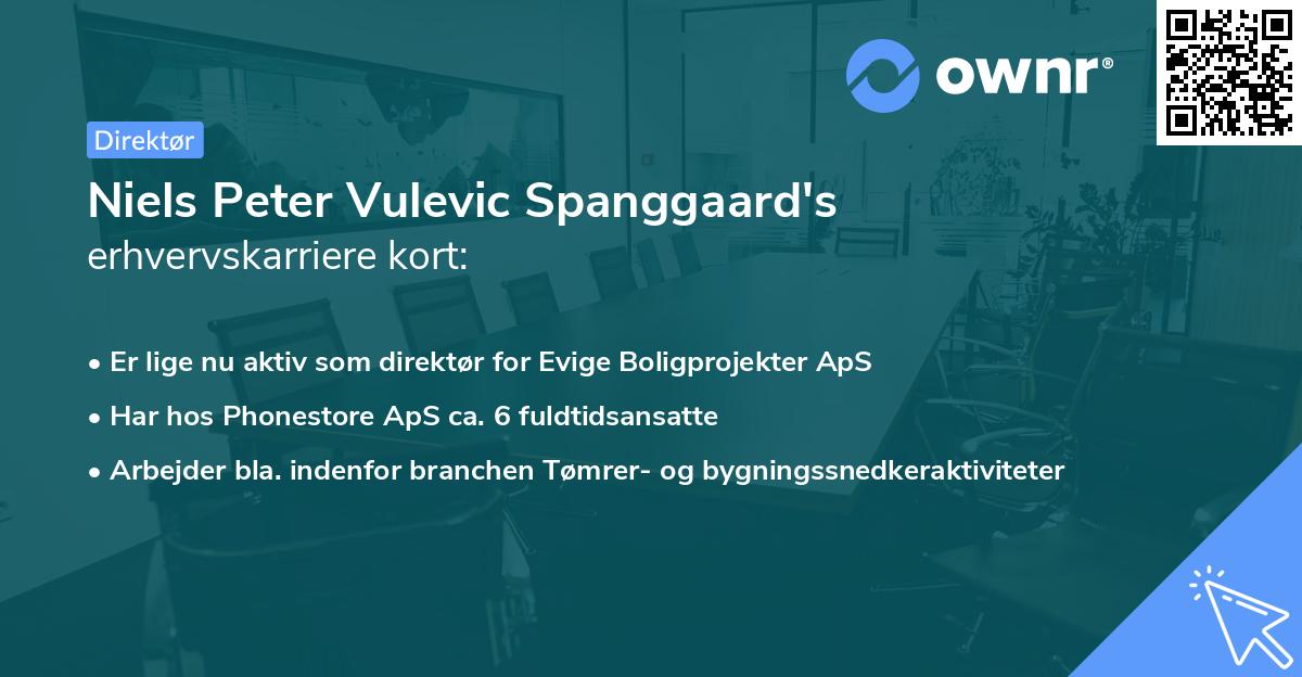 Niels Peter Vulevic Spanggaard's erhvervskarriere kort