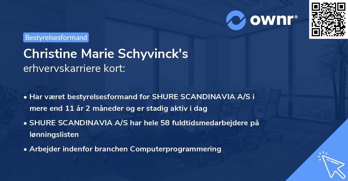 Christine Marie Schyvinck's erhvervskarriere kort