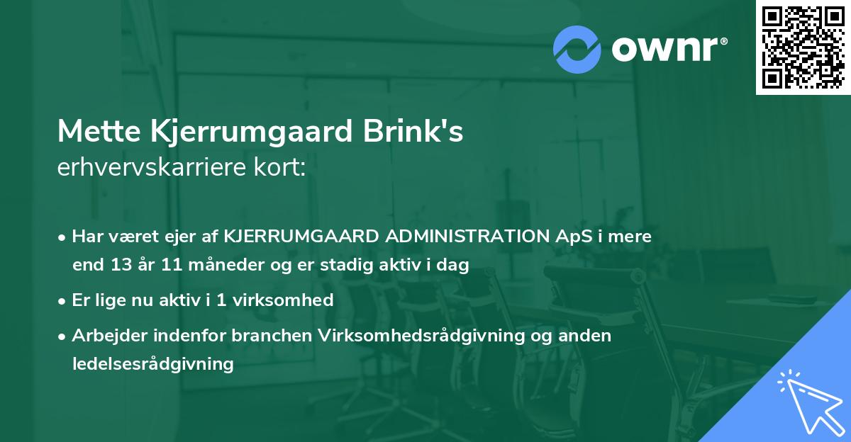Mette Kjerrumgaard Brink's erhvervskarriere kort