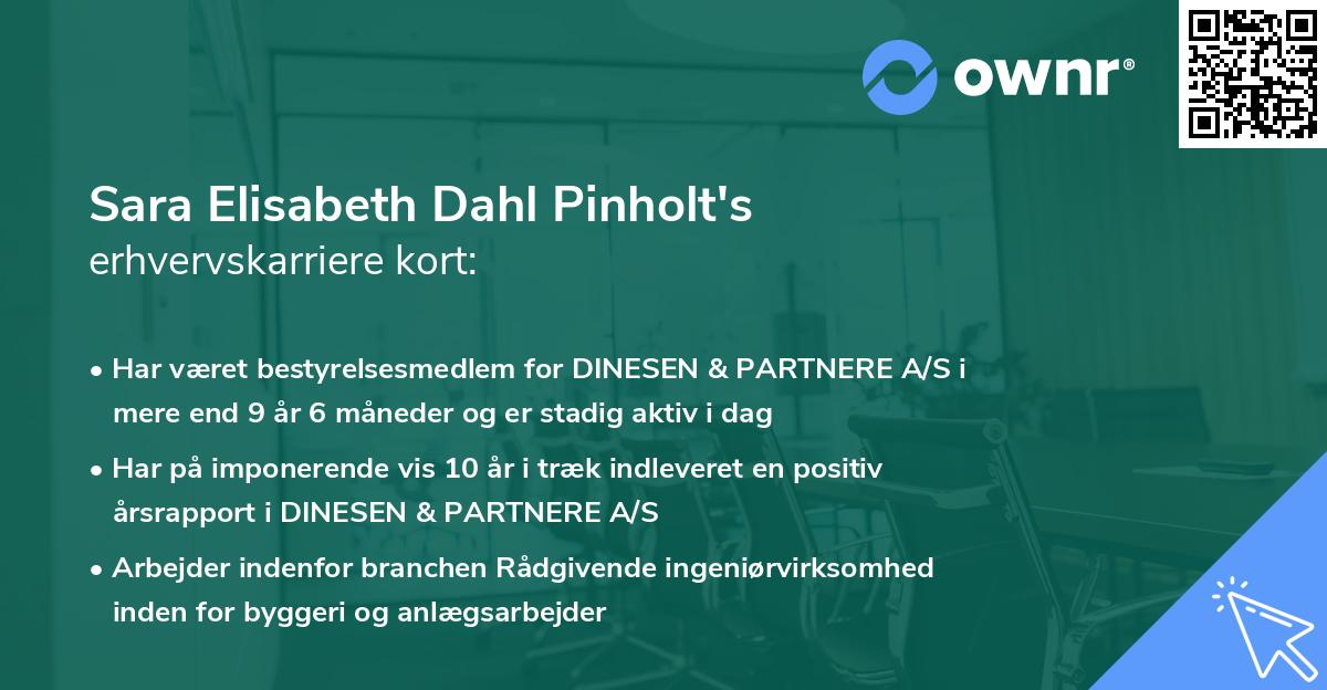 Sara Elisabeth Dahl Pinholt's erhvervskarriere kort