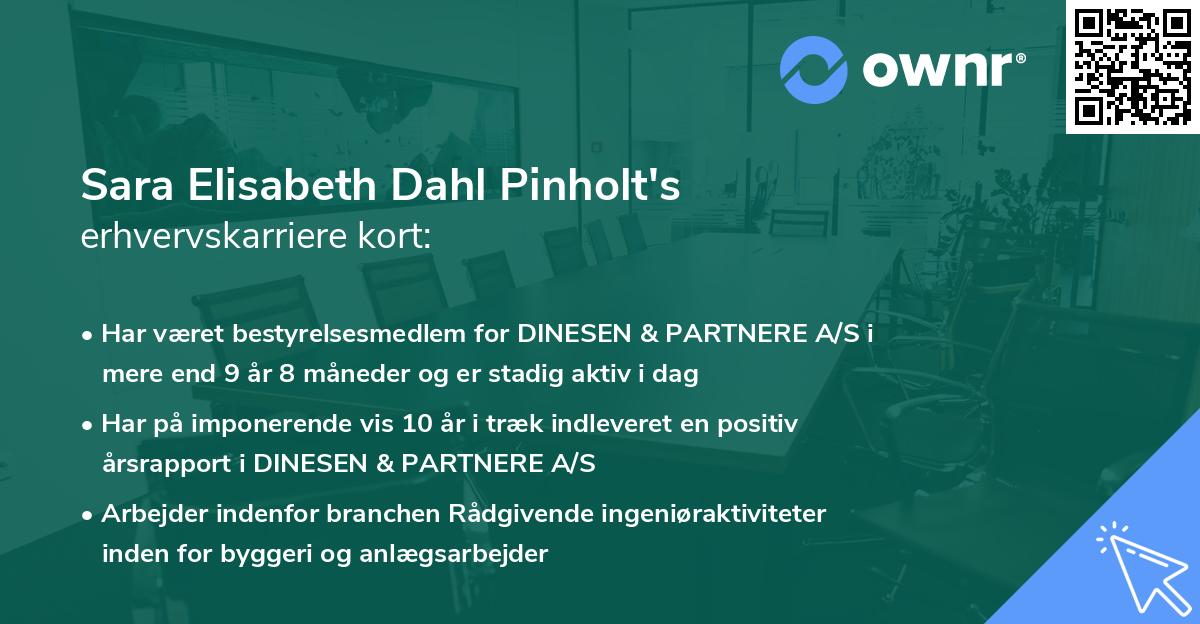 Sara Elisabeth Dahl Pinholt's erhvervskarriere kort