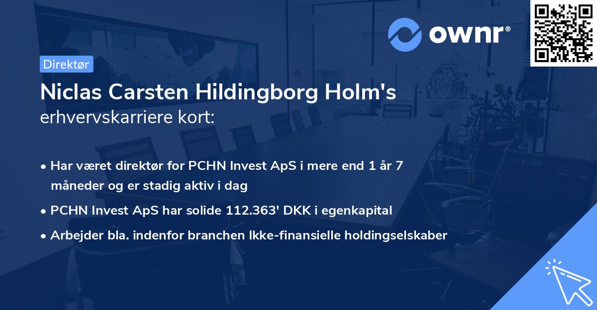Niclas Carsten Hildingborg Holm's erhvervskarriere kort