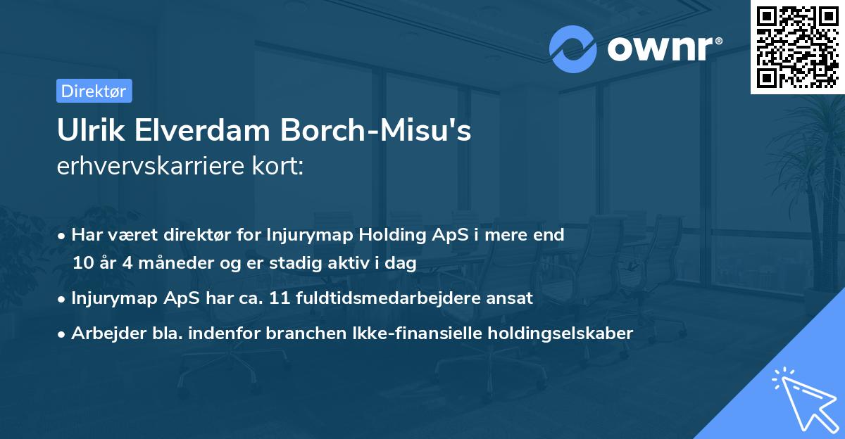 Ulrik Elverdam Borch-Misu's erhvervskarriere kort