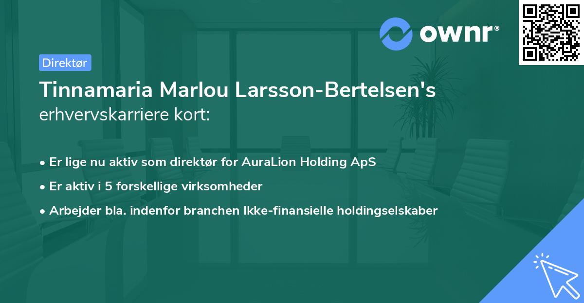 Tinnamaria Marlou Larsson-Bertelsen's erhvervskarriere kort