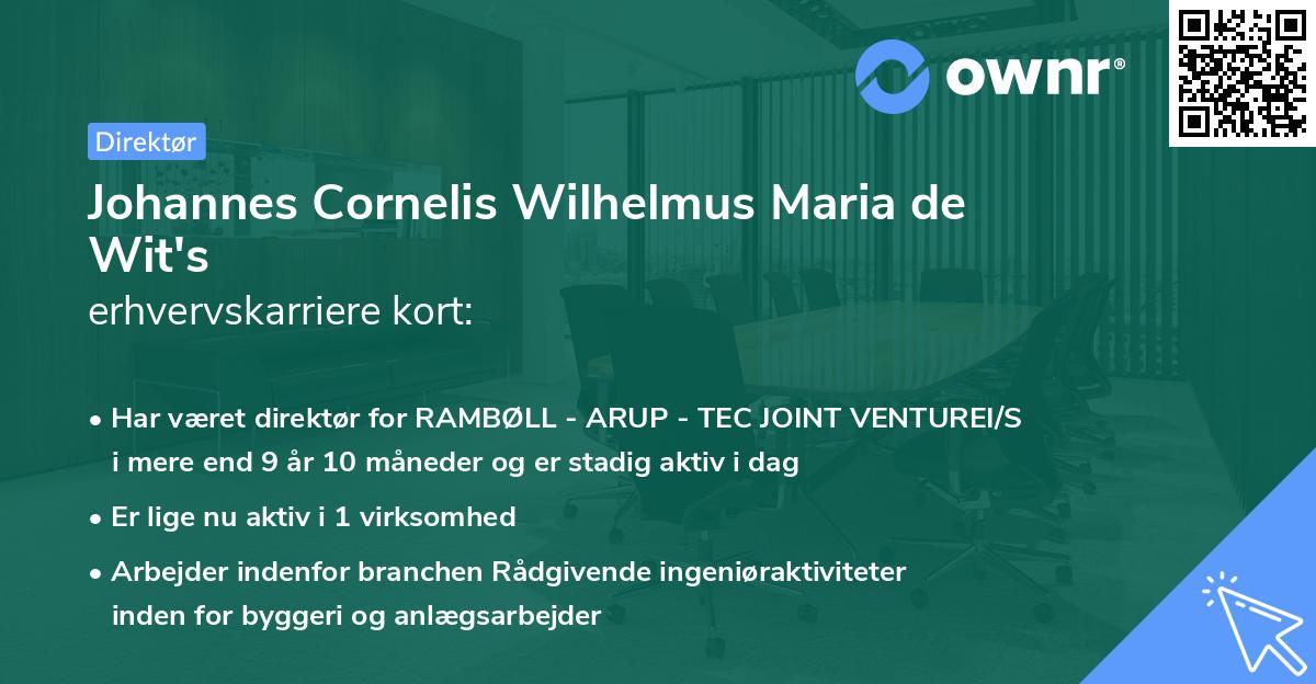 Johannes Cornelis Wilhelmus Maria de Wit's erhvervskarriere kort