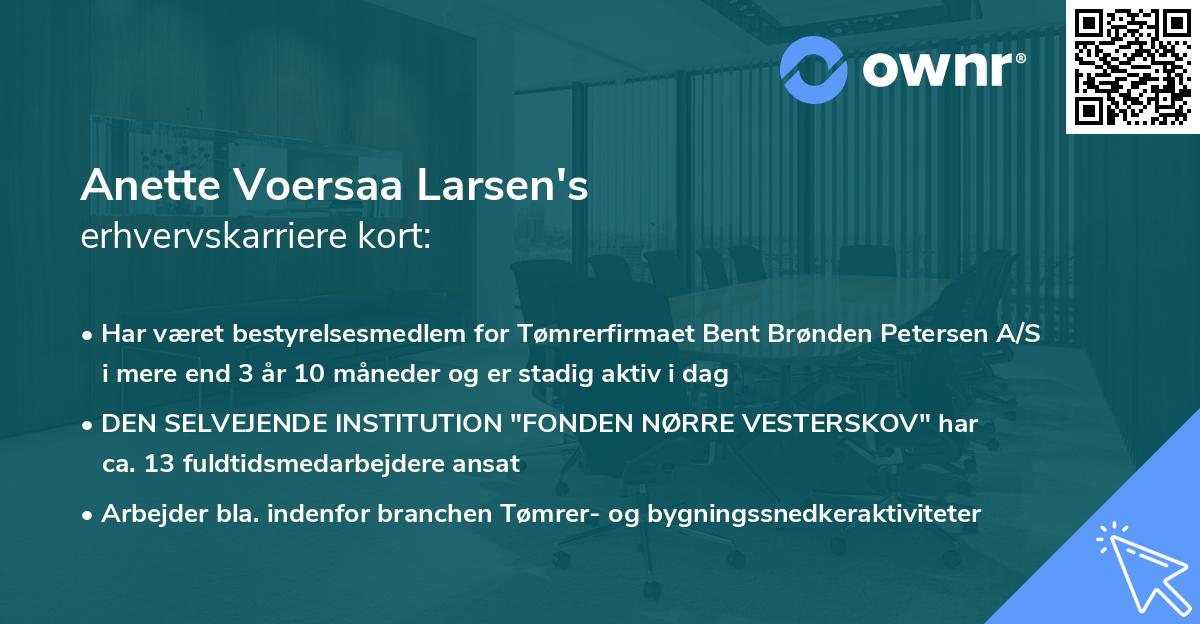 Anette Voersaa Larsen's erhvervskarriere kort