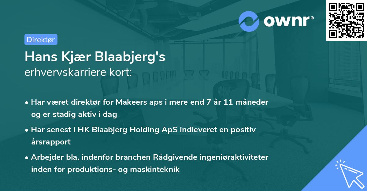 Hans Kjær Blaabjerg's erhvervskarriere kort
