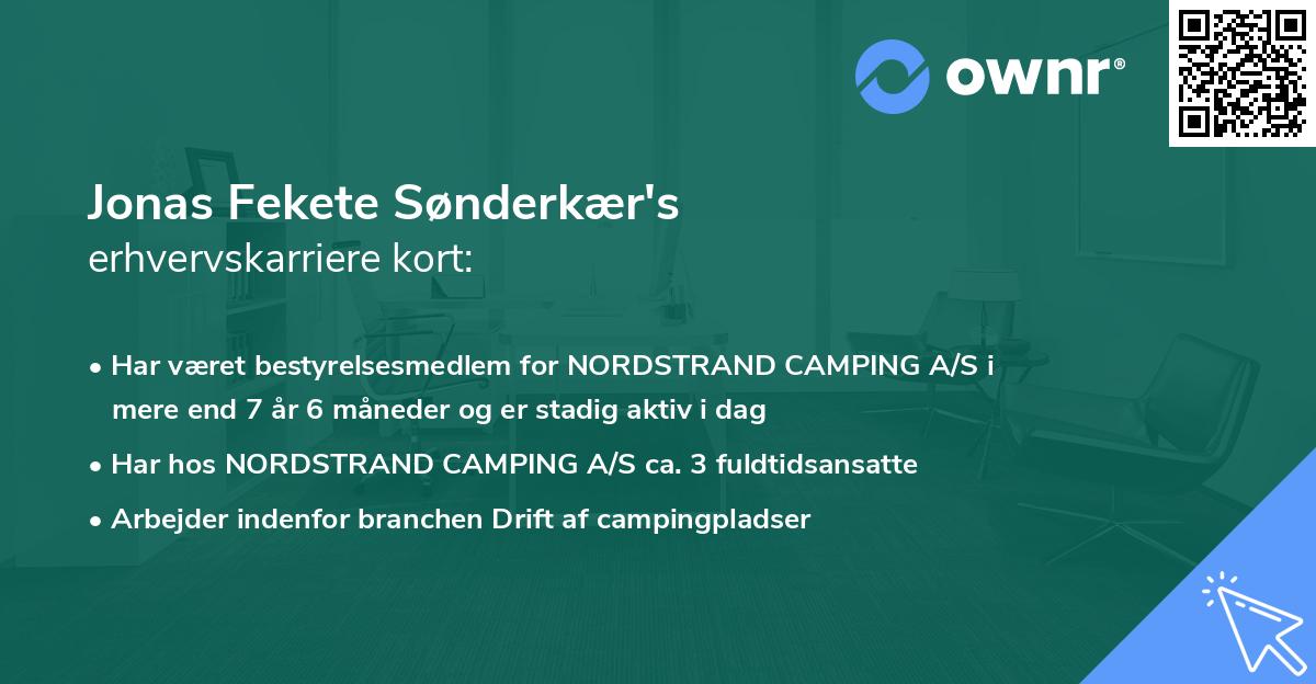 Jonas Fekete Sønderkær's erhvervskarriere kort