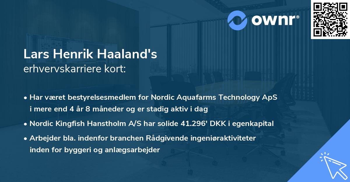 Lars Henrik Haaland's erhvervskarriere kort
