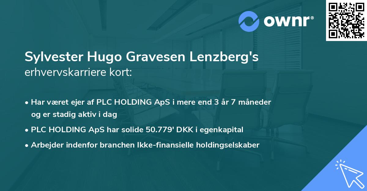 Sylvester Hugo Gravesen Lenzberg's erhvervskarriere kort