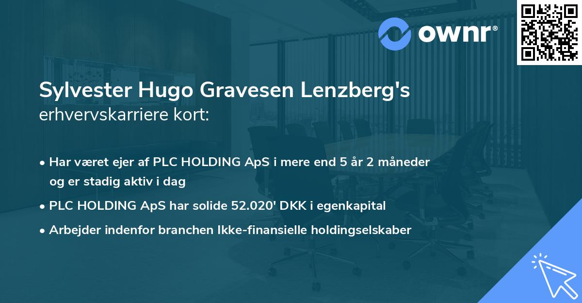 Sylvester Hugo Gravesen Lenzberg's erhvervskarriere kort