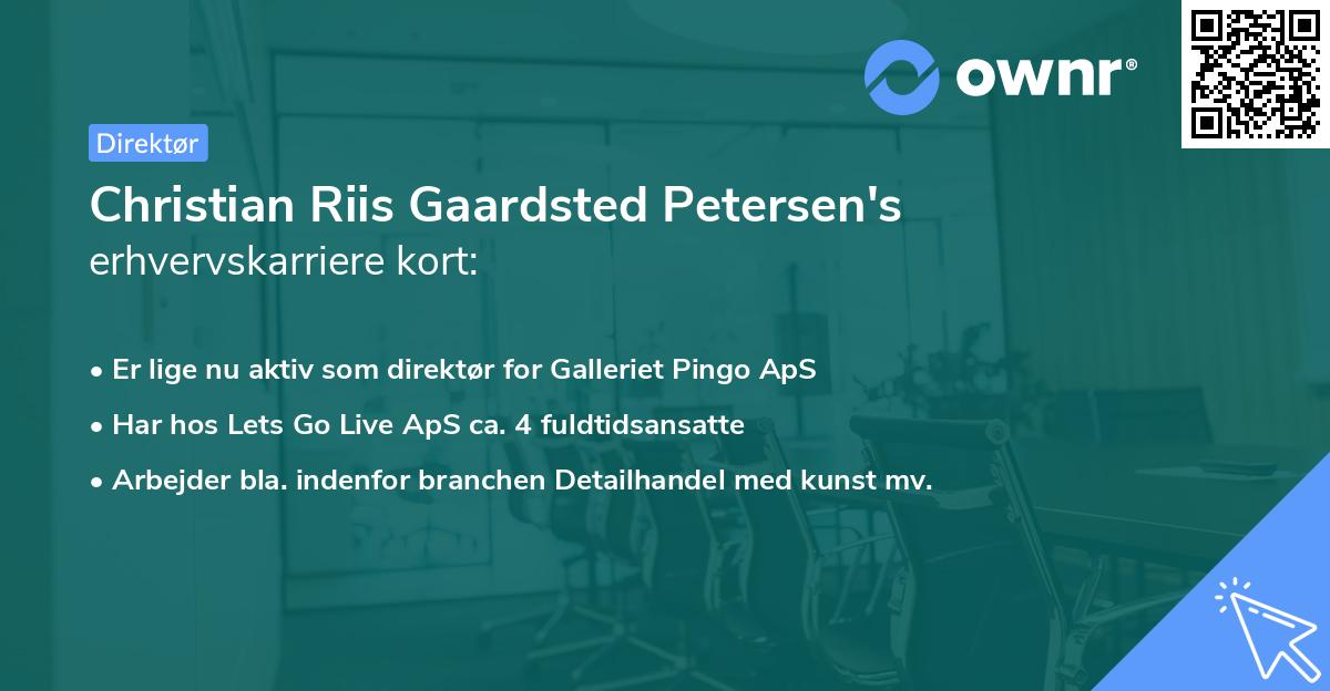 Christian Riis Gaardsted Petersen's erhvervskarriere kort