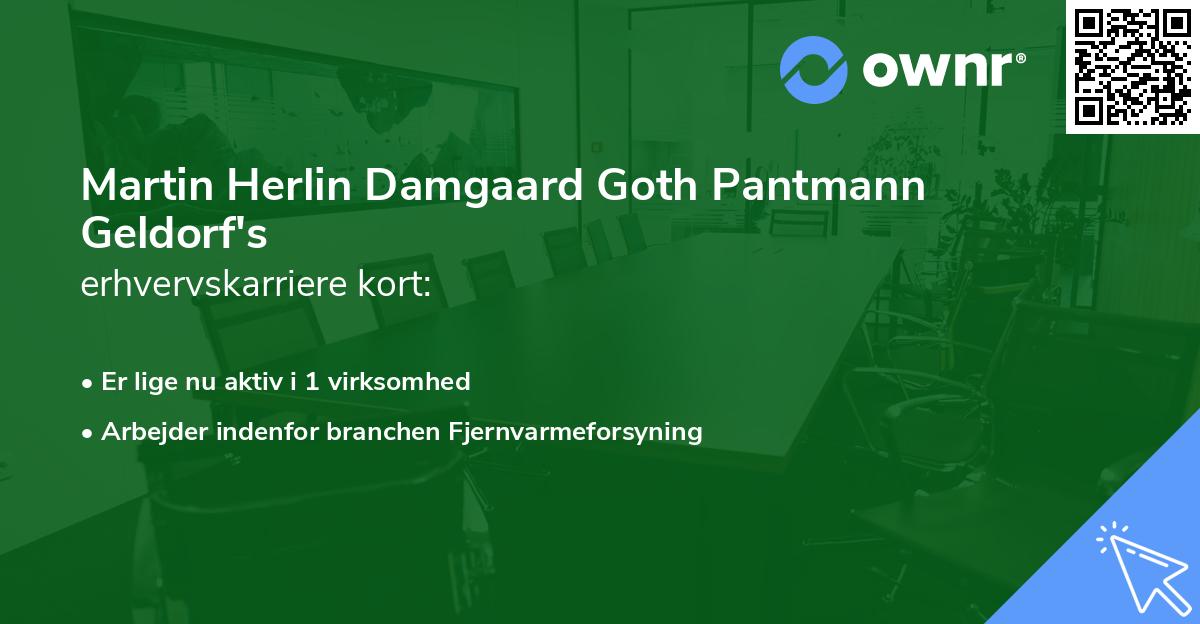 Martin Herlin Damgaard Goth Pantmann Geldorf's erhvervskarriere kort