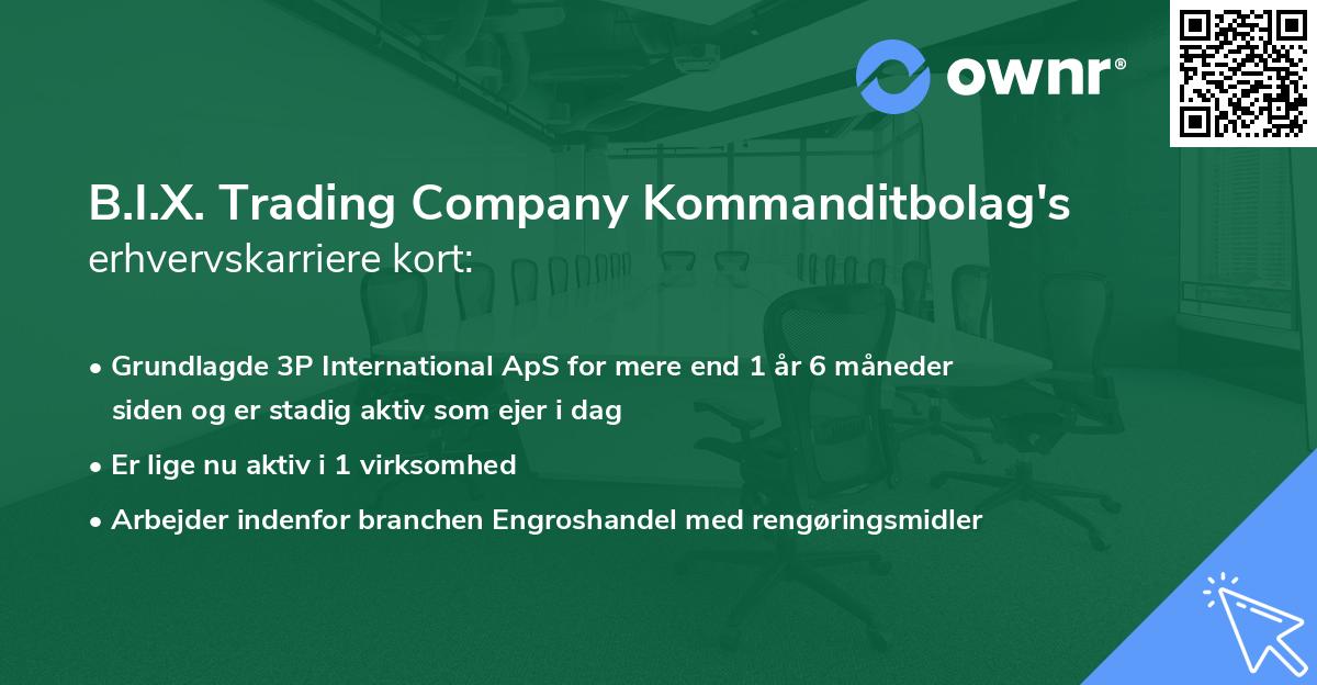 B.I.X. Trading Company Kommanditbolag's erhvervskarriere kort