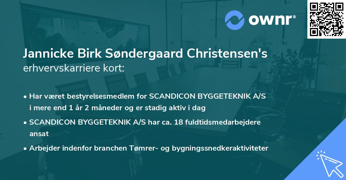 Jannicke Birk Søndergaard Christensen's erhvervskarriere kort