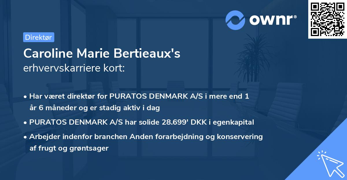 Caroline Marie Bertieaux's erhvervskarriere kort