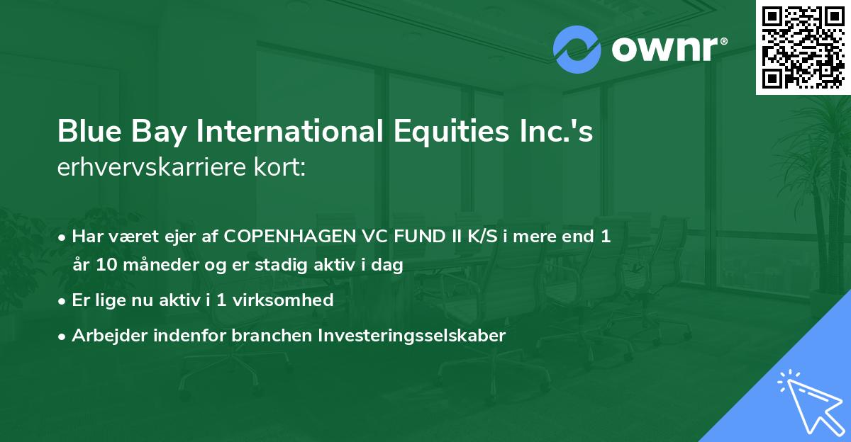 Blue Bay International Equities Inc.'s erhvervskarriere kort