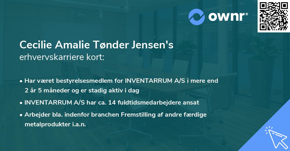 Cecilie Amalie Tønder Jensen's erhvervskarriere kort