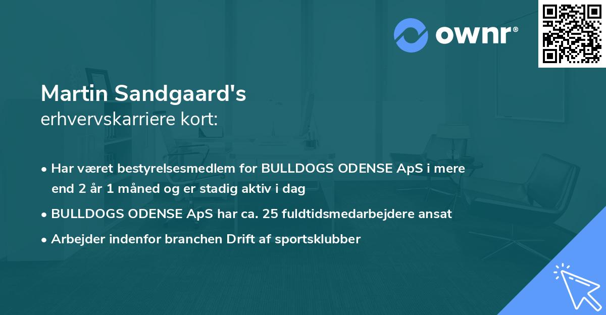 Martin Sandgaard's erhvervskarriere kort