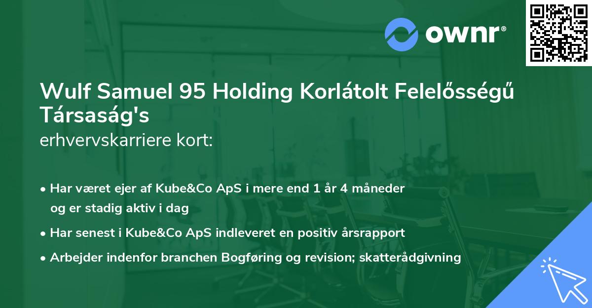 Wulf Samuel 95 Holding Korlátolt Felelősségű Társaság's erhvervskarriere kort