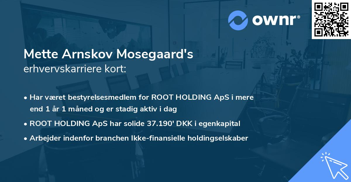Mette Arnskov Mosegaard's erhvervskarriere kort