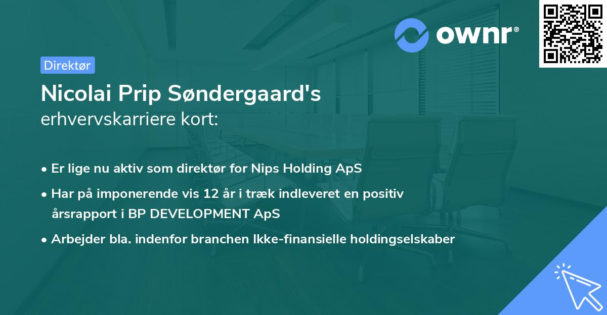 Nicolai Prip Søndergaard's erhvervskarriere kort