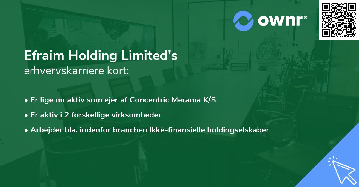 Efraim Holding Limited's erhvervskarriere kort