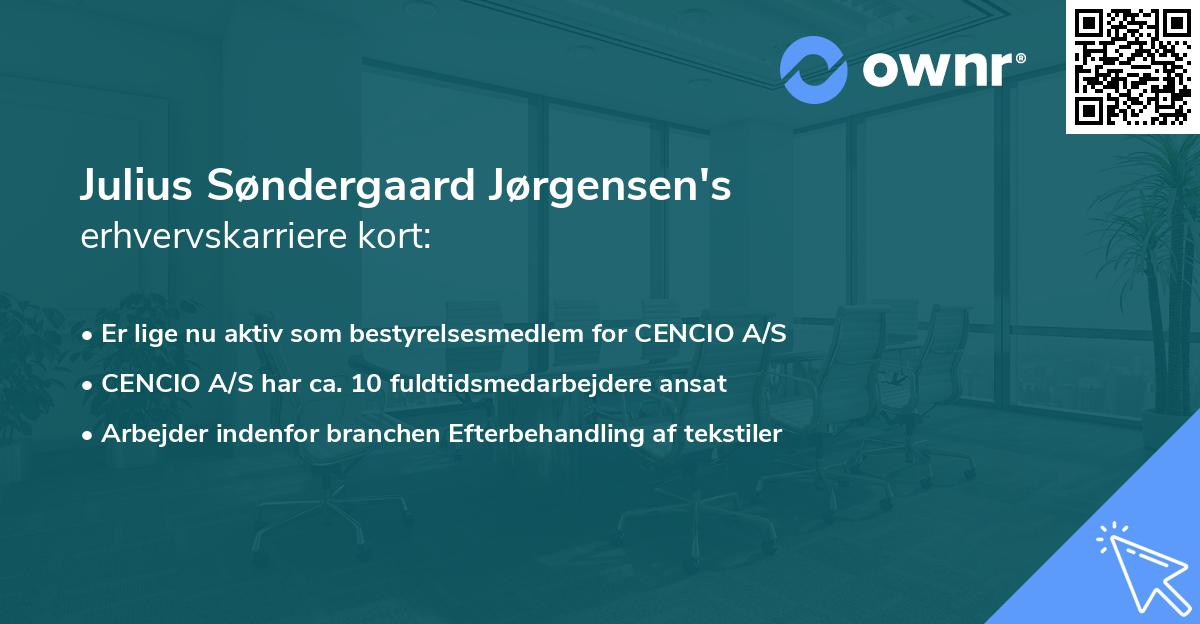 Julius Søndergaard Jørgensen's erhvervskarriere kort