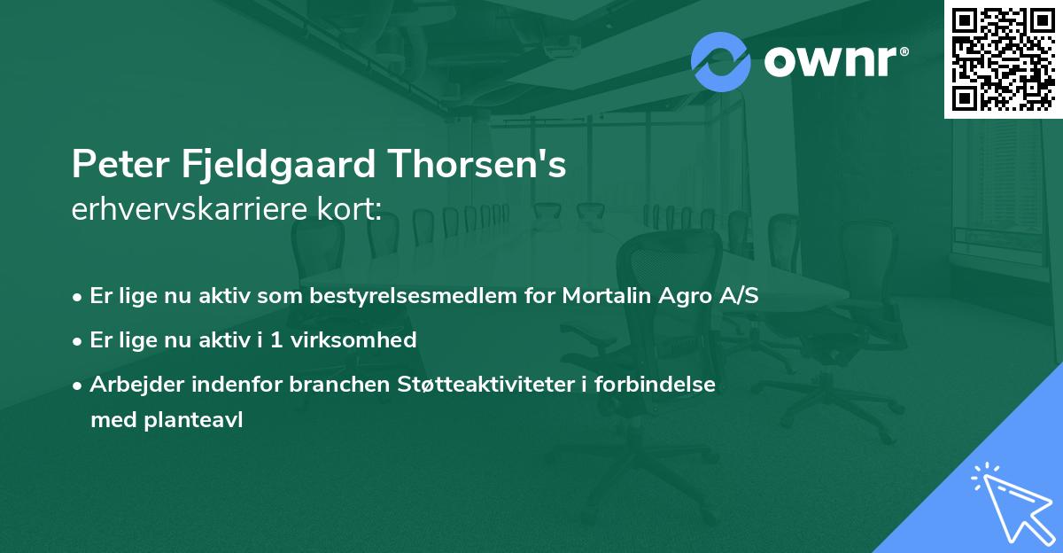 Peter Fjeldgaard Thorsen's erhvervskarriere kort