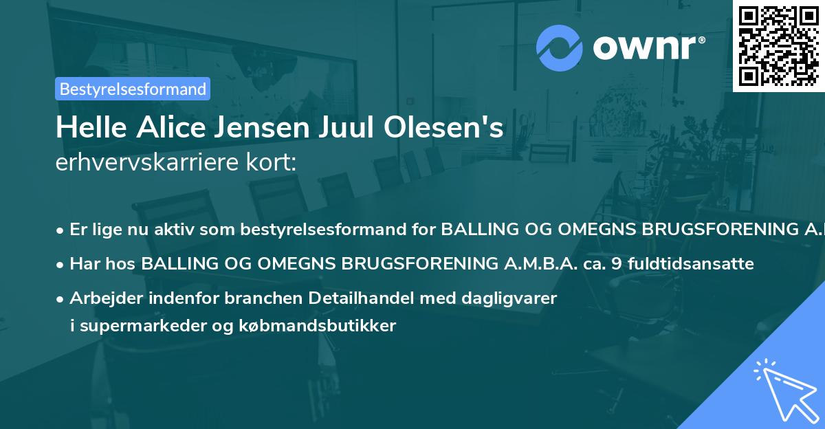 Helle Alice Jensen Juul Olesen's erhvervskarriere kort