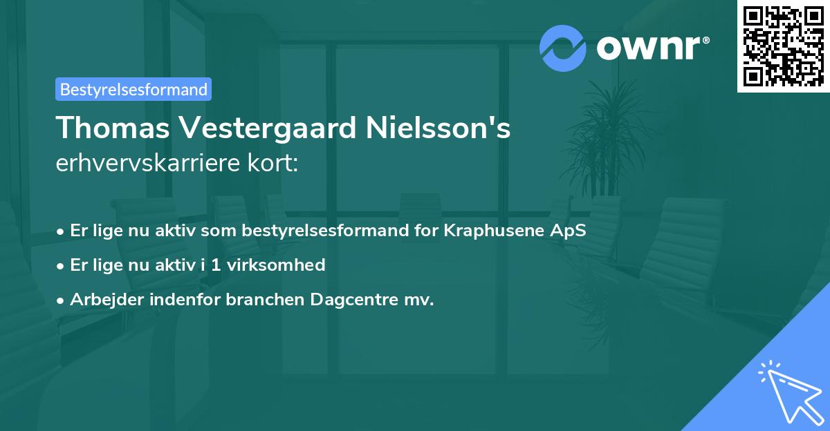 Thomas Vestergaard Nielsson's erhvervskarriere kort