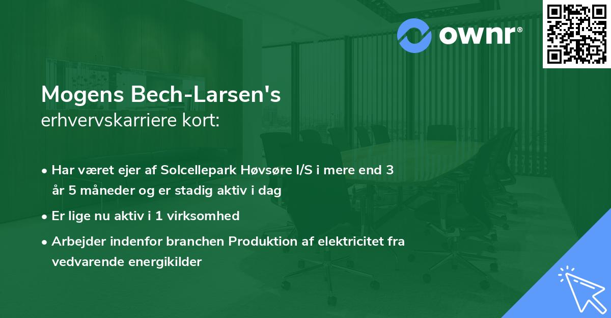 Mogens Bech-Larsen's erhvervskarriere kort