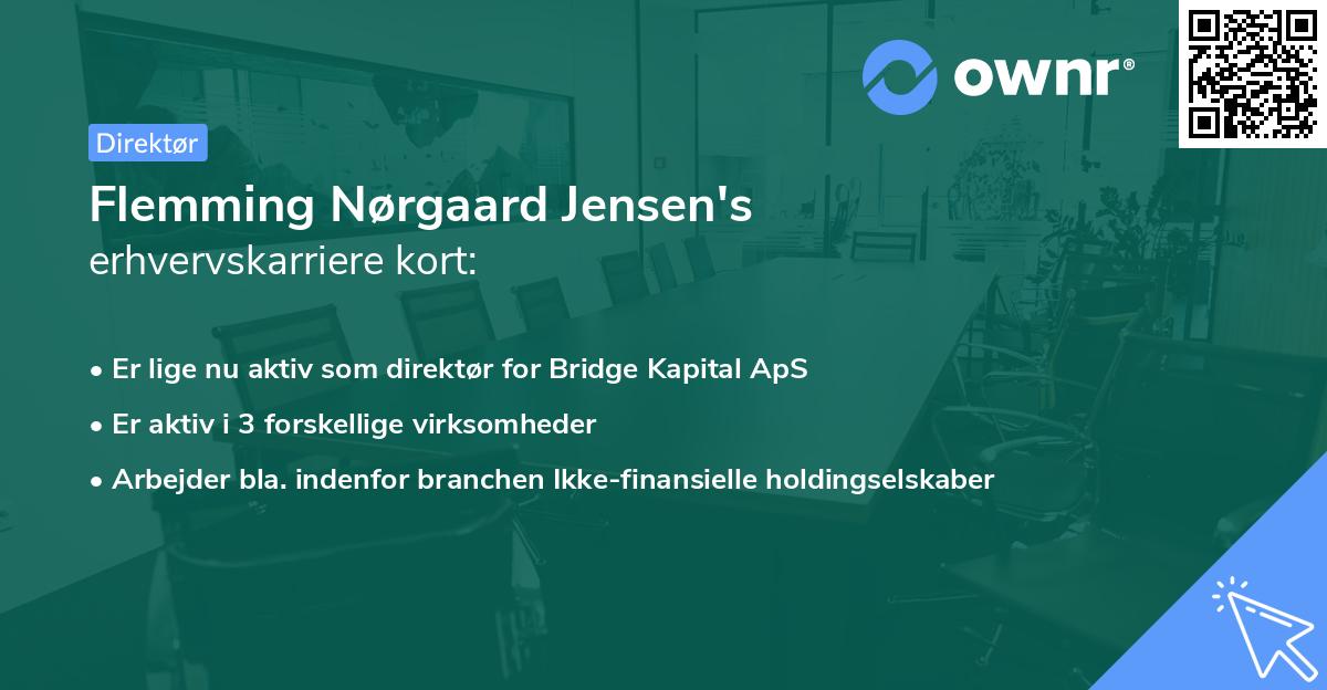 Flemming Nørgaard Jensen's erhvervskarriere kort