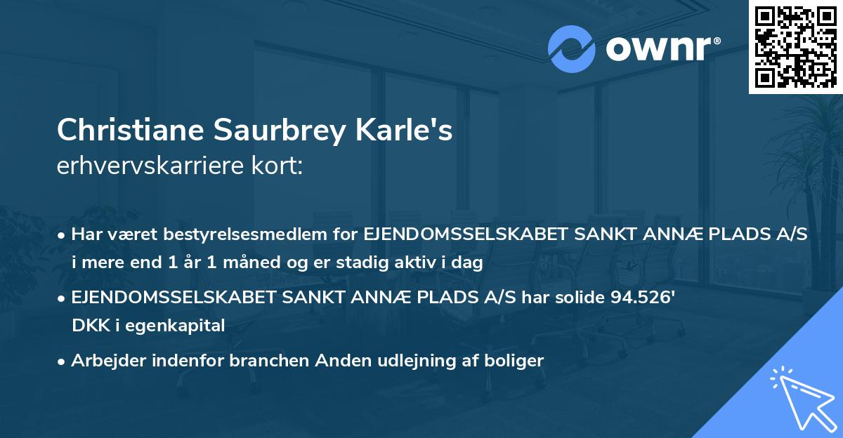 Christiane Saurbrey Karle's erhvervskarriere kort