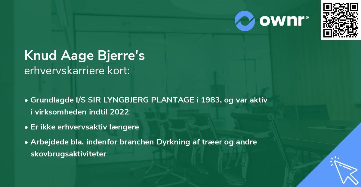 Knud Aage Bjerre's erhvervskarriere kort