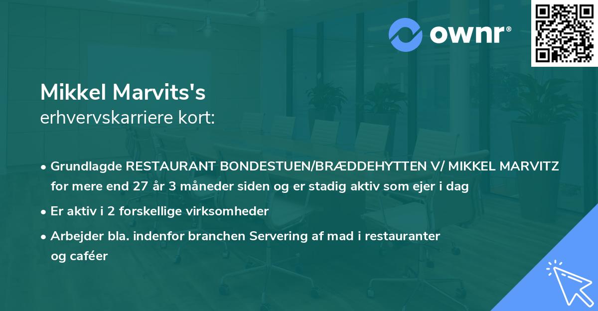 Mikkel Marvits's erhvervskarriere kort