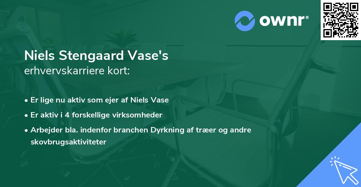 Niels Stengaard Vase's erhvervskarriere kort