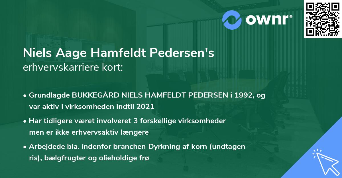 Niels Aage Hamfeldt Pedersen's erhvervskarriere kort