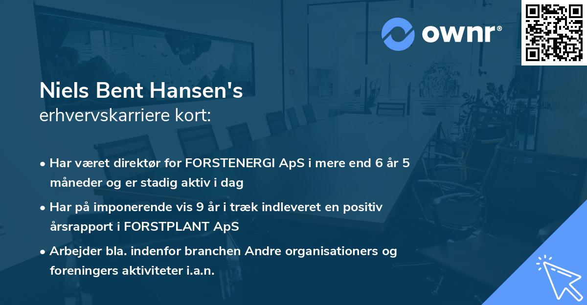 Niels Bent Hansen's erhvervskarriere kort