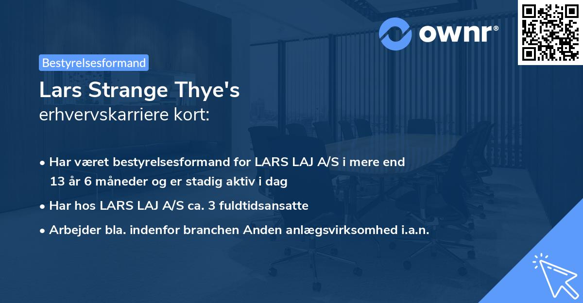 Lars Strange Thye's erhvervskarriere kort