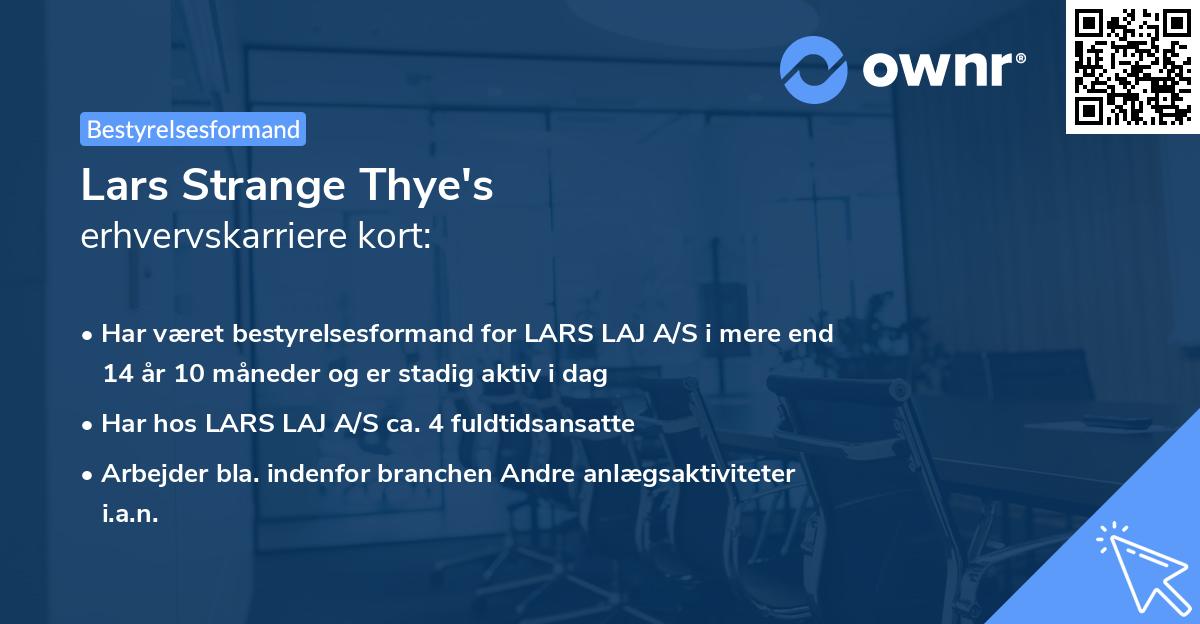 Lars Strange Thye's erhvervskarriere kort