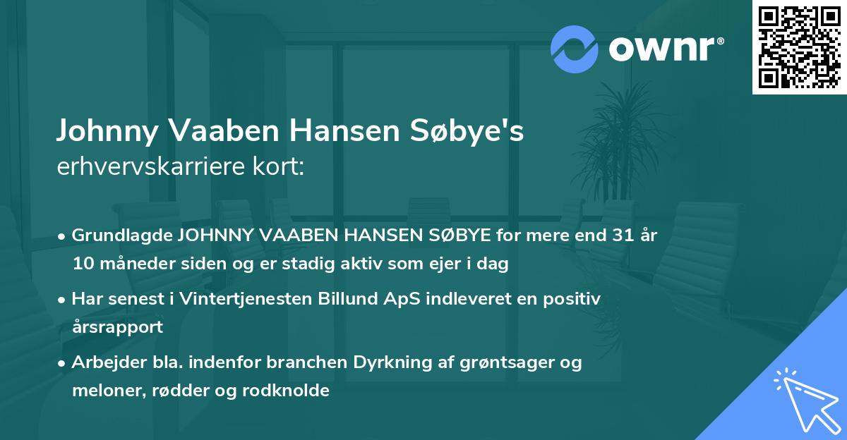 Johnny Vaaben Hansen Søbye's erhvervskarriere kort