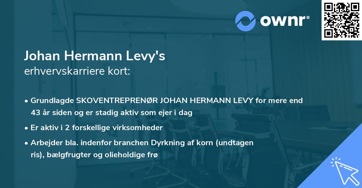 Johan Hermann Levy's erhvervskarriere kort