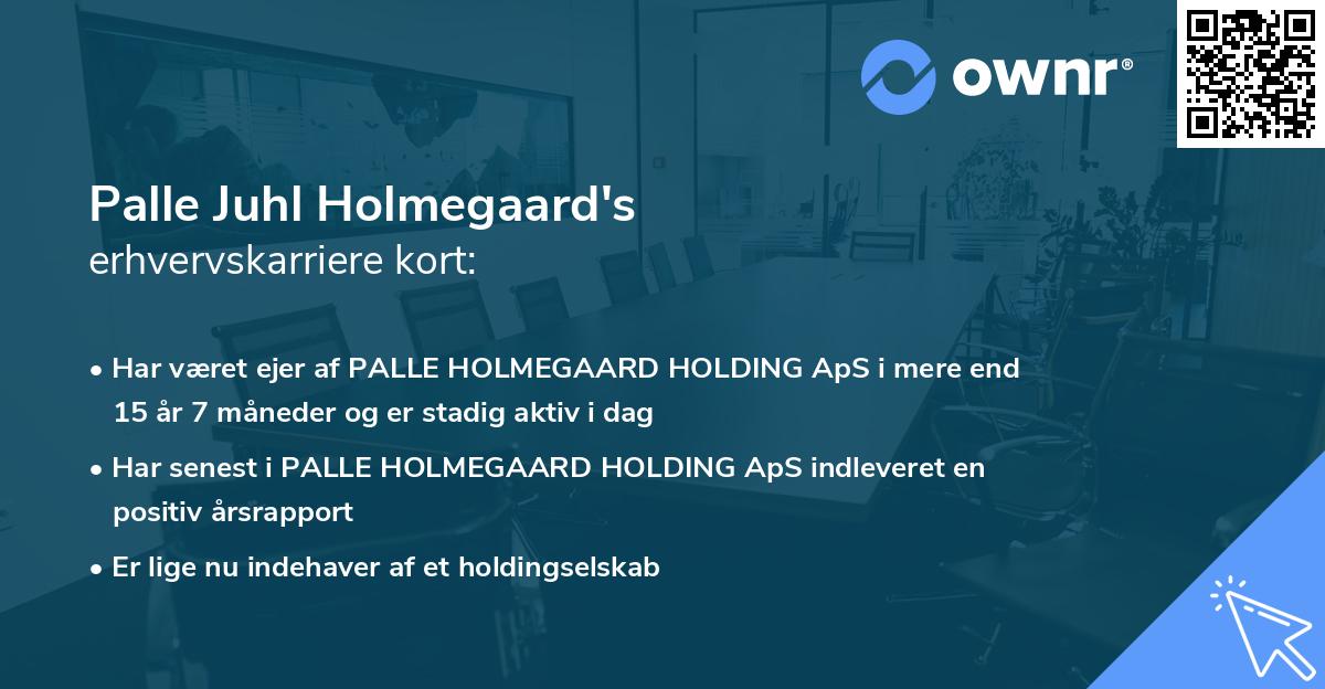 Palle Juhl Holmegaard's erhvervskarriere kort